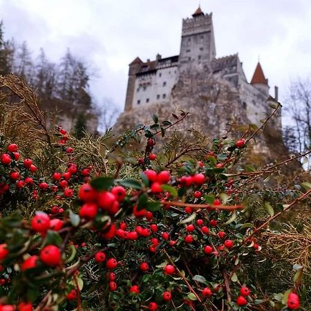 Pensiunea Antonio Bran Бран Екстер'єр фото